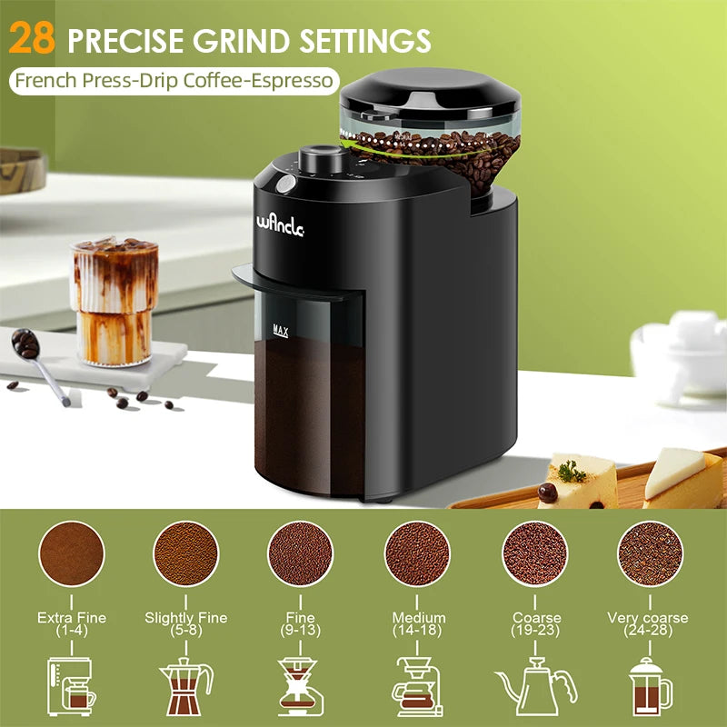 Precision Conical Burr Coffee Grinder